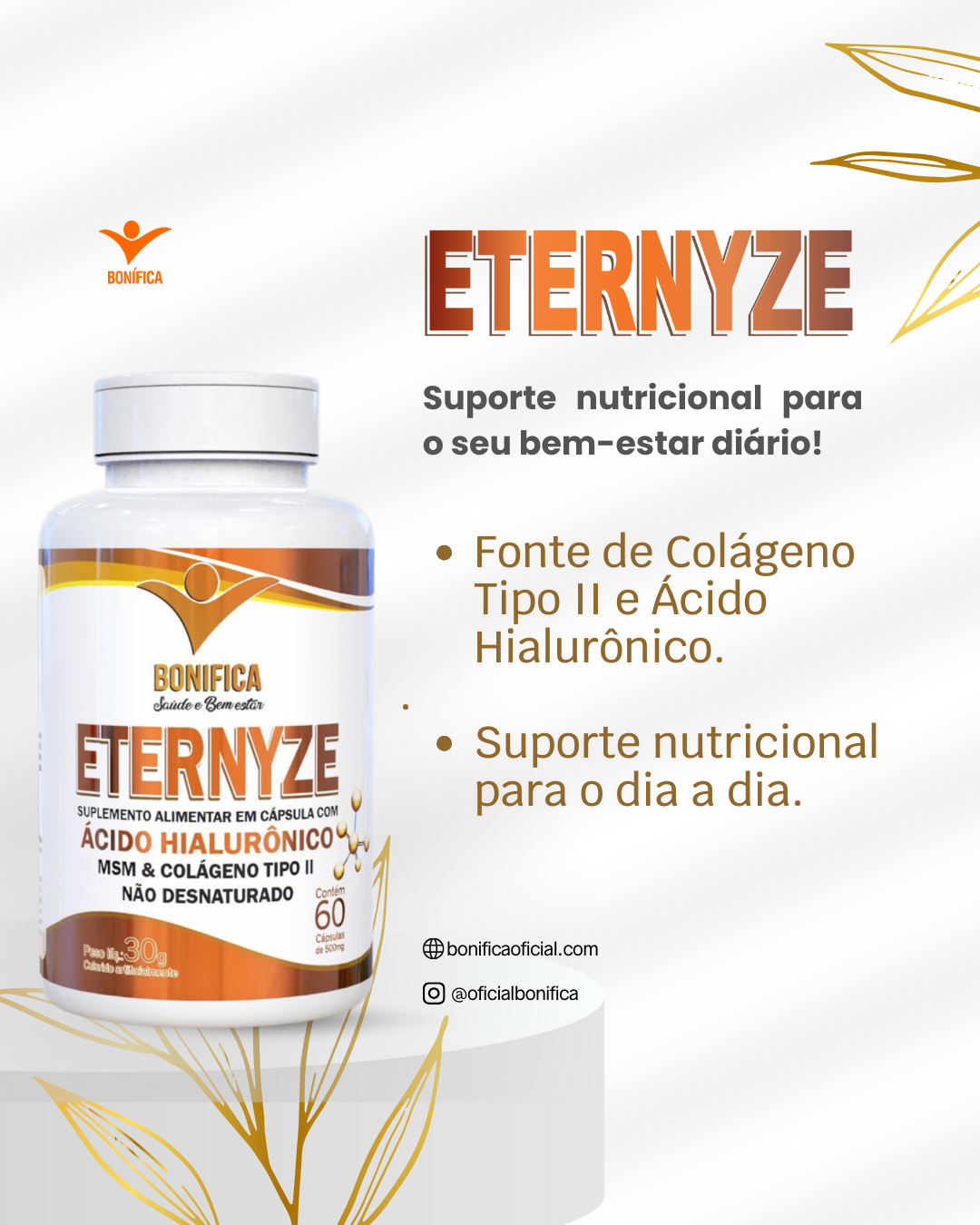 eternize 2